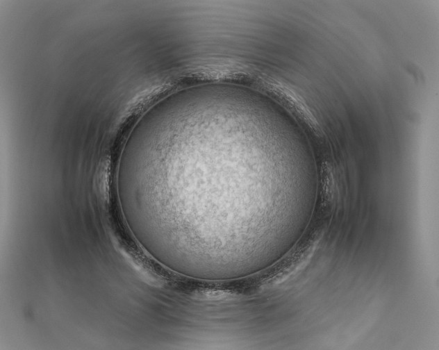 X0000112810590200909041456