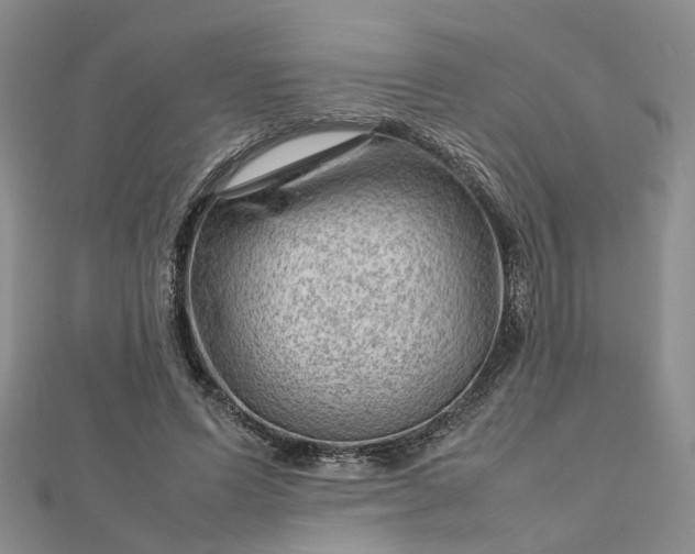 X0000112810591200909041456