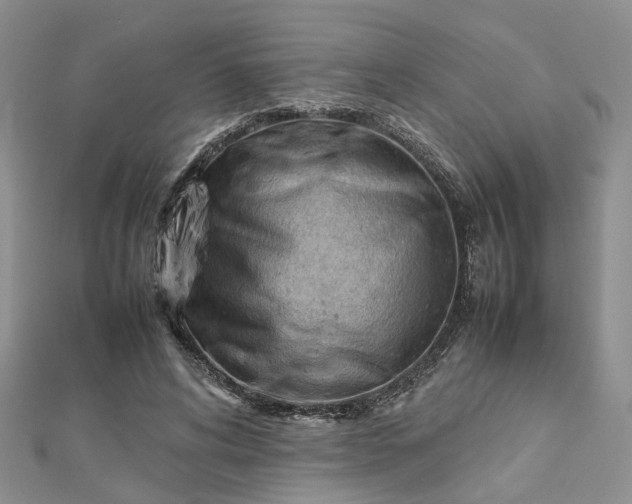 X0000112810592200909041456