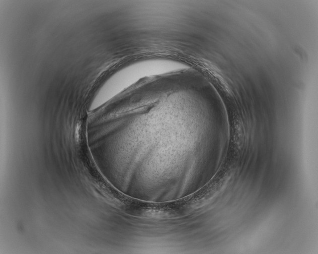 X0000112810596200909041456