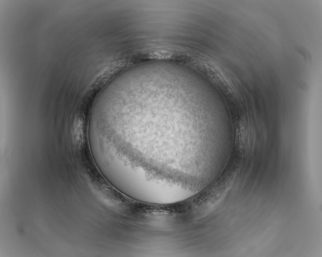 X0000112810598200909041456