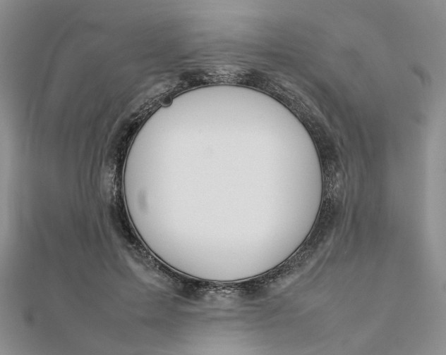 X0000112810599200909041455