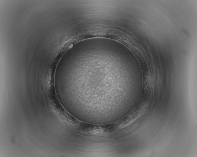 X0000112810600200909041455