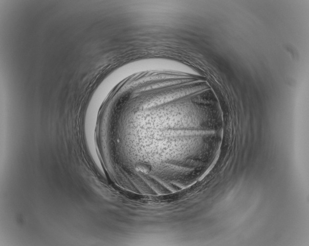 X0000112810601200909041455