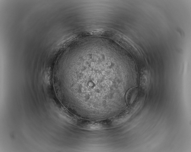 X0000112810604200909041455