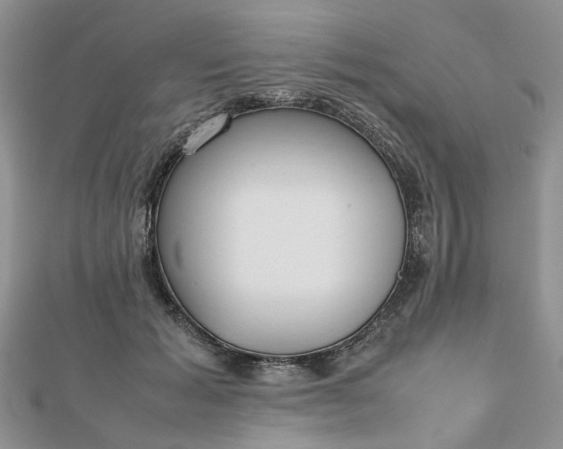 X0000112810605200909041455