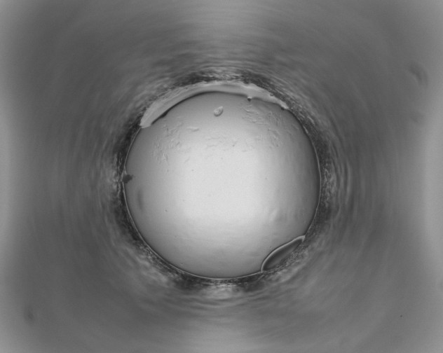 X0000112810609200909041455