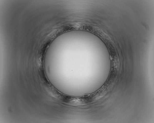 X0000112810611200909041455