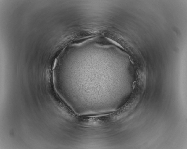 X0000112810612200909041455