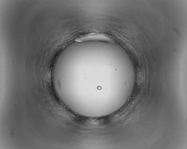 X0000112810613200909041455