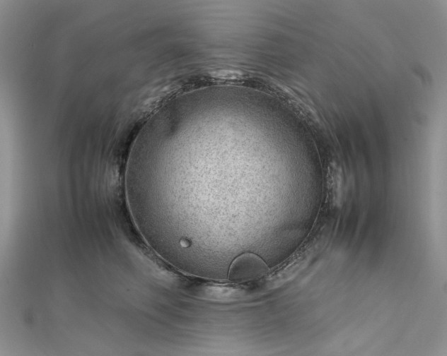 X0000112810614200909041455