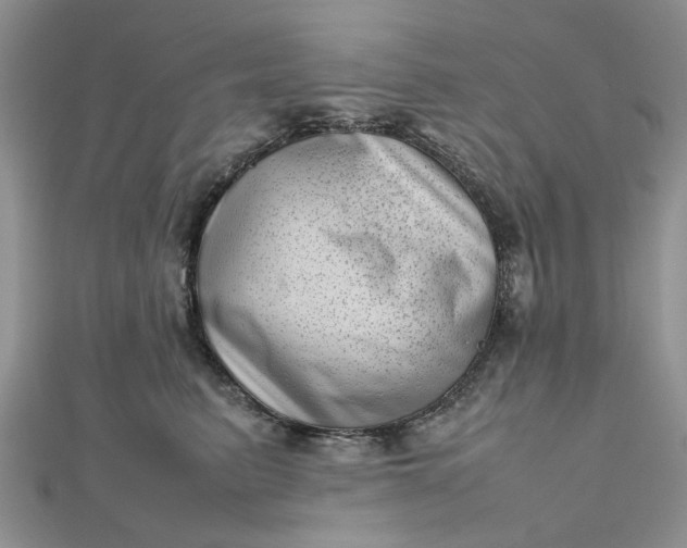 X0000112810615200909041455