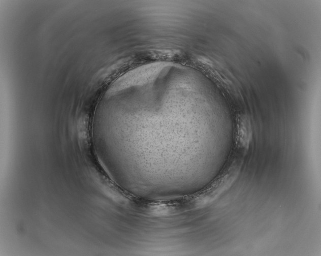 X0000112810616200909041455