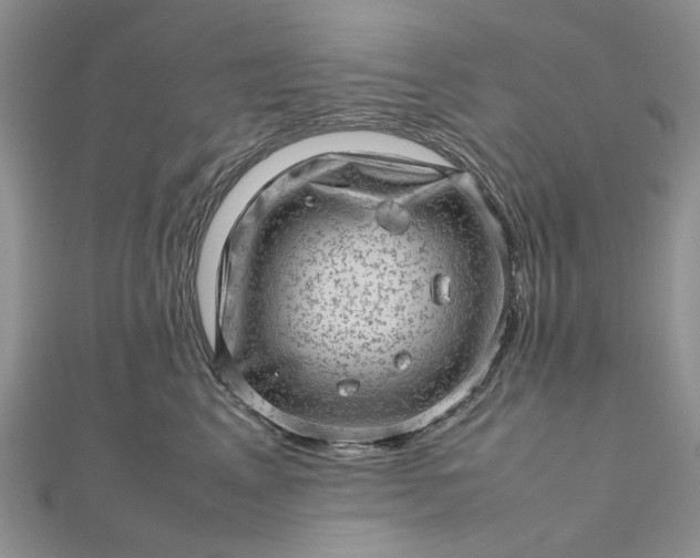 X0000112810617200909041455