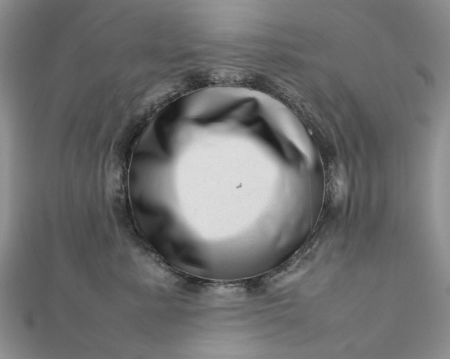 X0000112810619200909041455