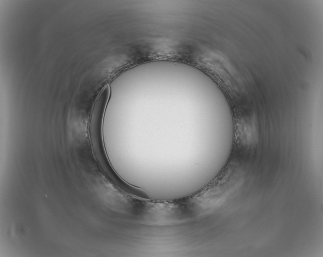 X0000112810621200909041455