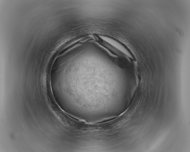 X0000112810626200909041455