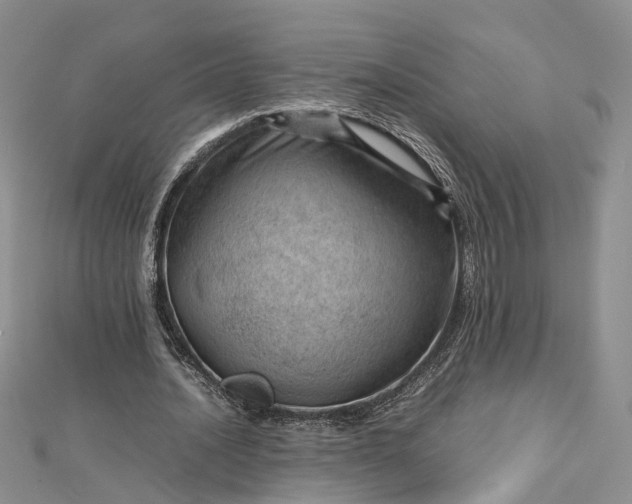 X0000112810628200909041455