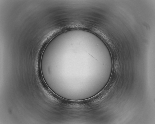 X0000112810629200909041455