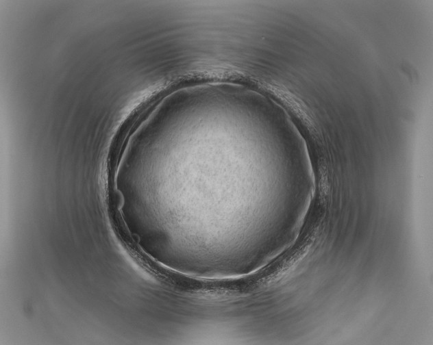 X0000112810630200909041455