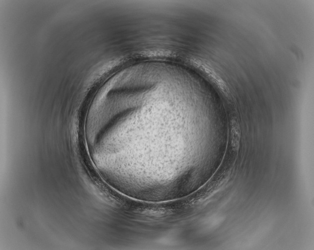 X0000112810631200909041455