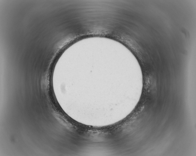 X0000112810632200909041455