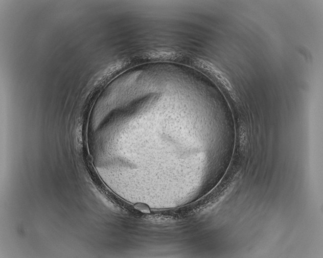 X0000112810633200909041455