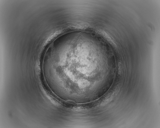 X0000112810634200909041455