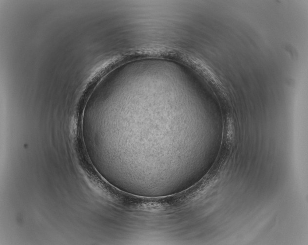 X0000112810636200909041455