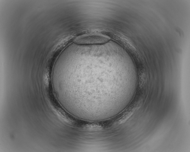 X0000112810644200909041455