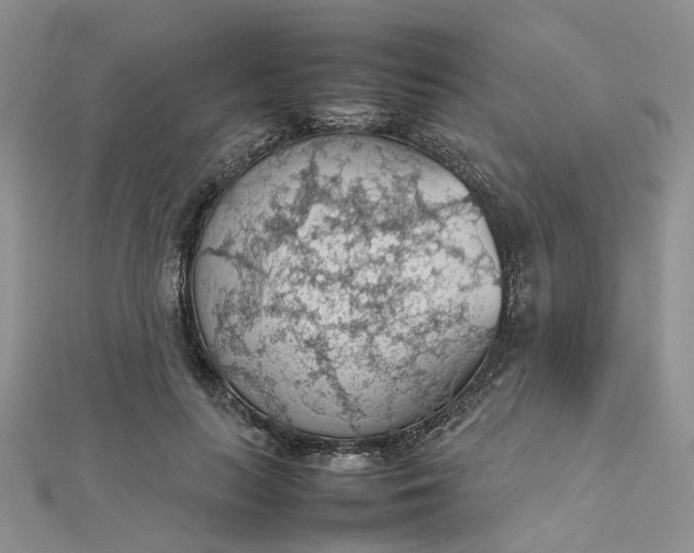 X0000112810647200909041455