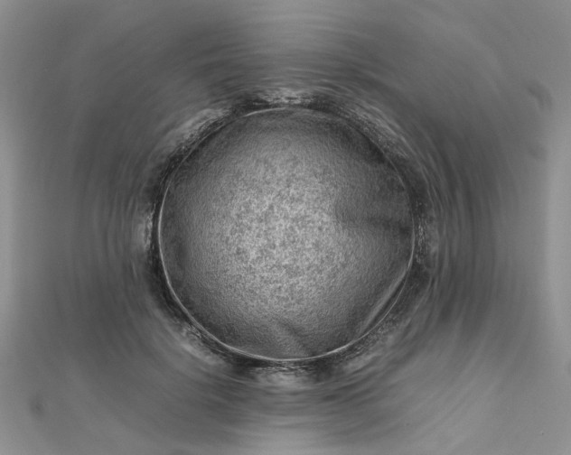 X0000112810652200909041455