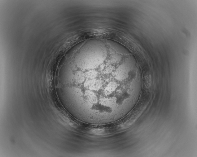 X0000112810653200909041455