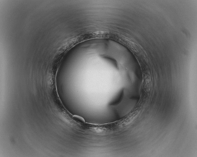 X0000112810654200909041455