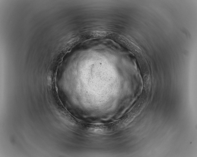 X0000112810655200909041455