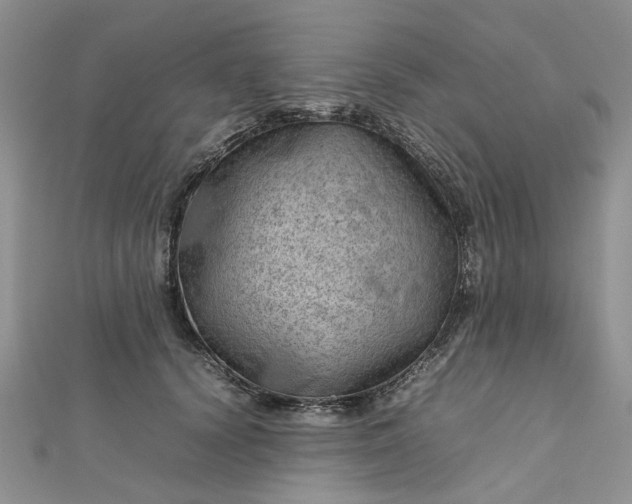 X0000112810656200909041455