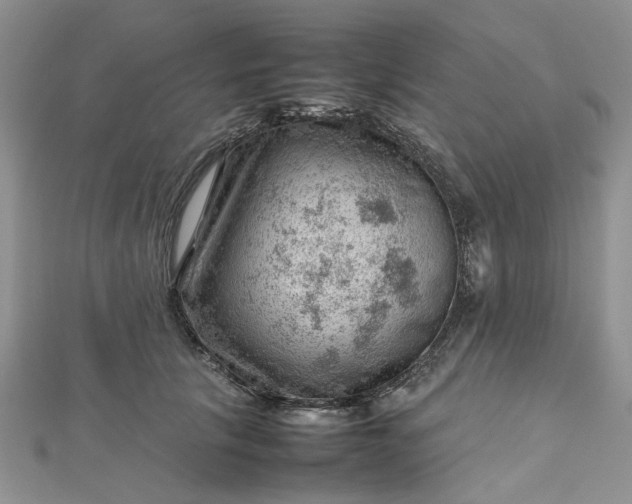 X0000112810657200909041455