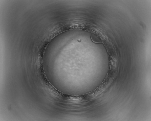 X0000112810659200909041455