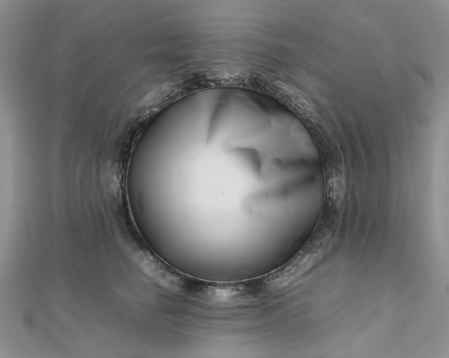 X0000112810662200909041455