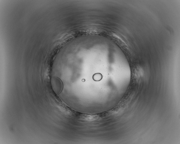 X0000112810663200909041455