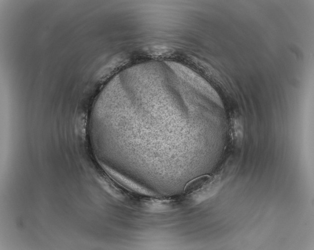 X0000112810664200909041455