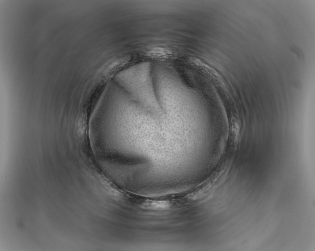 X0000112810665200909041455