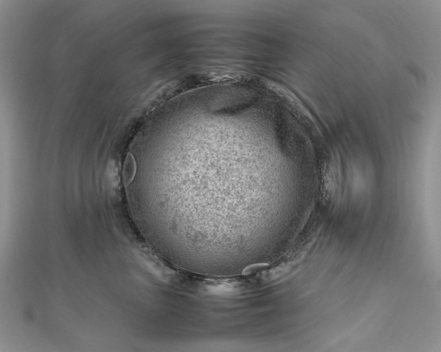 X0000112810667200909041455