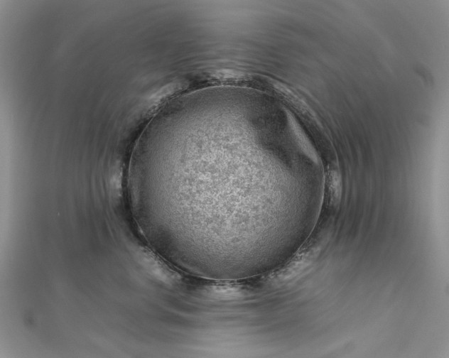 X0000112810668200909041455