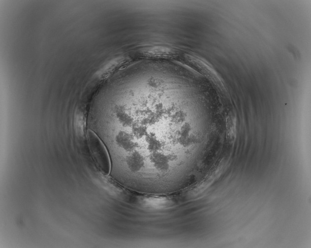 X0000112810669200909041455