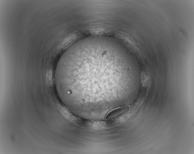 X0000112810670200909041455