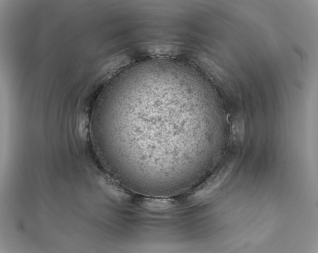 X0000112810671200909041455