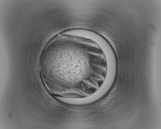 X0000112810673200909041455