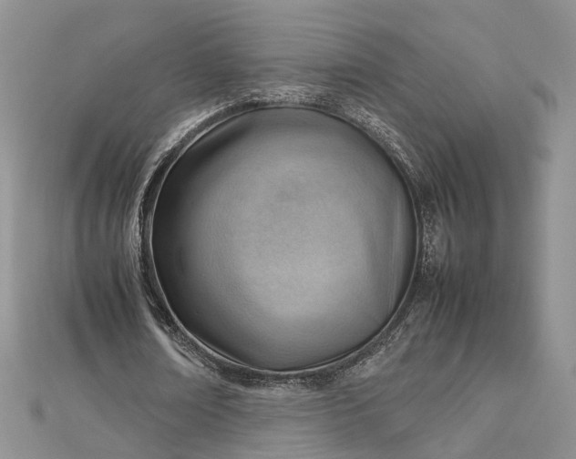 X0000112810674200909041455