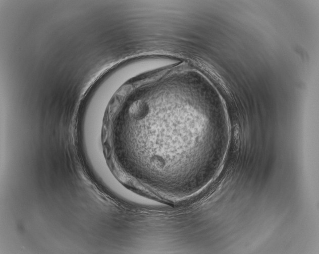 X0000112810676200909041455